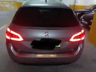 Peugeot 308 SW 2017 — foto 4 de 4