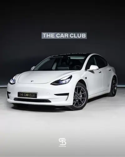 Tesla Model 3 2019 - 160000km