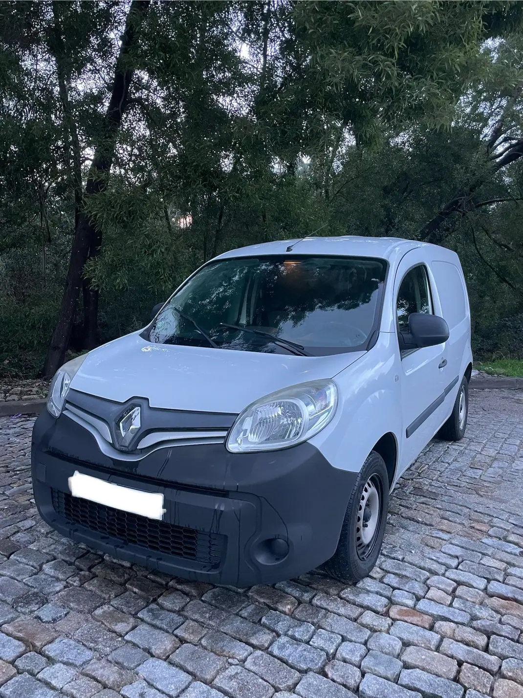 Renault Kangoo 2017 - 8500 EUR, 217000 km - AUTO.MOTO.pt - 217000km - foto 1 de 11