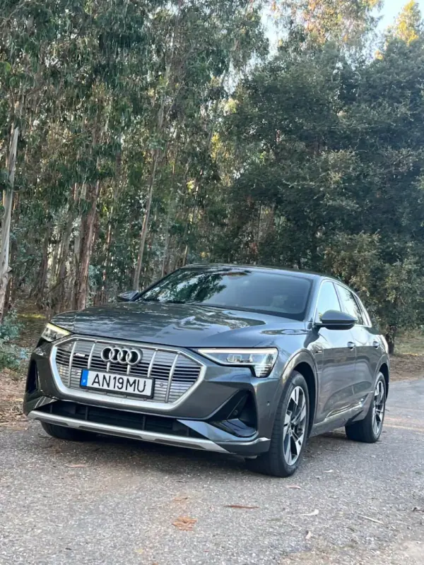 Audi e-tron 2022 - 34750 EUR, 131000 km - AUTO.MOTO.pt - 131000km - foto 18 de 50