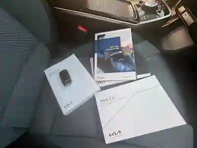 Kia e-Niro 2021 - 21500 EUR, 157000 km - 157000km - foto 13 de 15