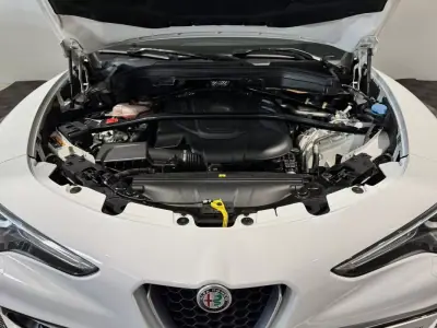 Alfa Romeo Stelvio 2017 - 22900 EUR, 215900 km - AUTO.MOTO.pt - 215900km - foto 50 de 60