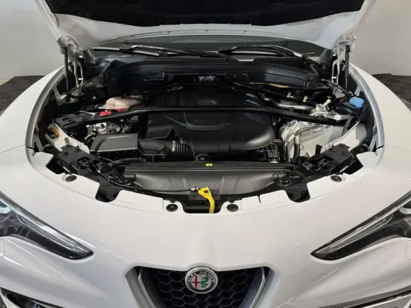 Alfa Romeo Stelvio 2017 - 22900 EUR, 215900 km - AUTO.MOTO.pt - 215900km - foto 50 de 60