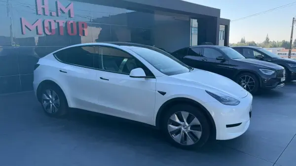 Tesla Model Y RWD 2024 Electric
