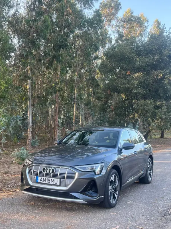 Audi e-tron 2022 - 34750 EUR, 131000 km - AUTO.MOTO.pt - 131000km - foto 5 de 50