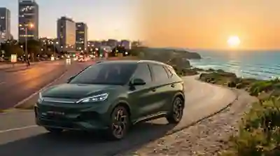 What does BYD mean?