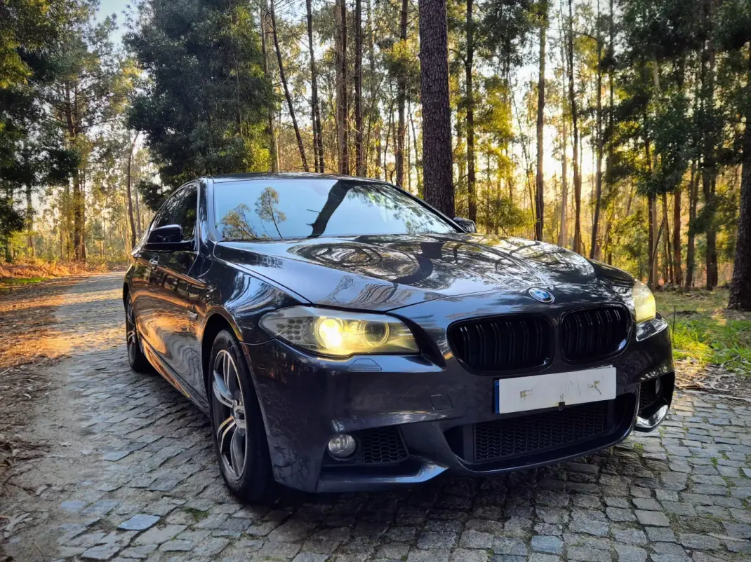 BMW 520 2010 - 18250 EUR, 234000 km - AUTO.MOTO.pt - 234000km - foto 1 de 17