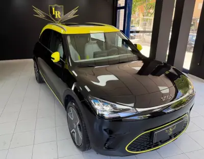 Smart 1 2024 - 9620km