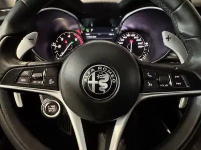 Alfa Romeo Stelvio 2017 - 22900 EUR, 215900 km - AUTO.MOTO.pt - 215900km - foto 28 de 60