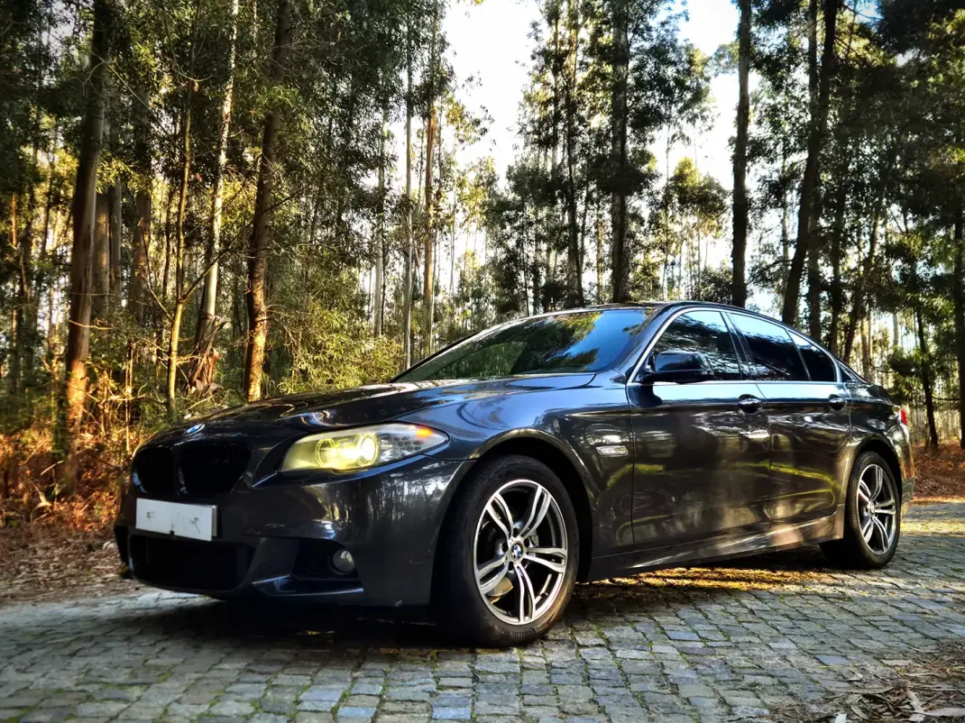 BMW 520 2010 - 18250 EUR, 234000 km - AUTO.MOTO.pt - 234000km - foto 4 de 17
