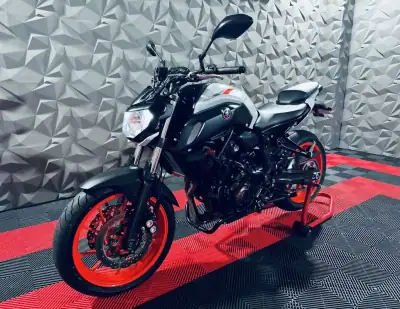 Yamaha V Star 250 2019 - 6250 EUR, 18812 km - AUTO.MOTO.pt - 18812km - foto 29 de 30