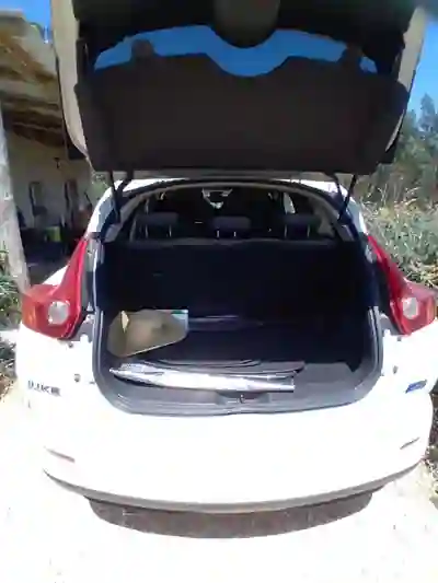 Nissan Juke 2014 - 7950 EUR, 246389 km - AUTO.MOTO.pt - 246389km - foto 9 de 10