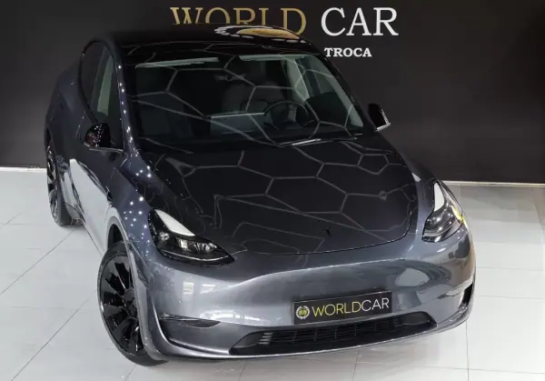 Tesla Model Y Long Range Tração Integral 2021 Electric
