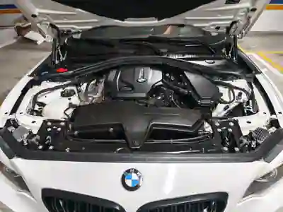 BMW 2 Series 2017 — foto 4 de 9