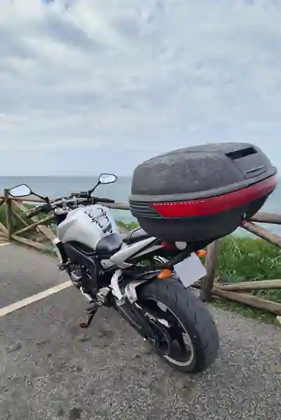 Yamaha FZ1-N 2009 - 4500 EUR, 77000 km - 77000km - foto 9 de 11