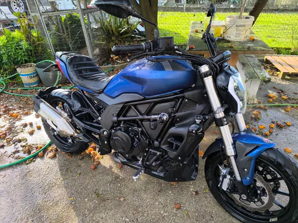 Benelli TRK 502 2019 Petrol