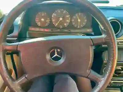 Mercedes-Benz 200 1970 - 8000 EUR, 264000 km - AUTO.MOTO.pt - 264000km - foto 6 de 10