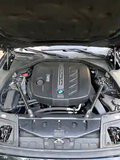 BMW 520 2012 - 16500 EUR, 284000 km - AUTO.MOTO.pt - 284000km - foto 14 de 15