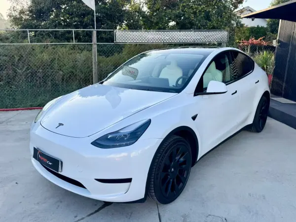 Tesla Model Y Long-Range RWD 2024 Electric