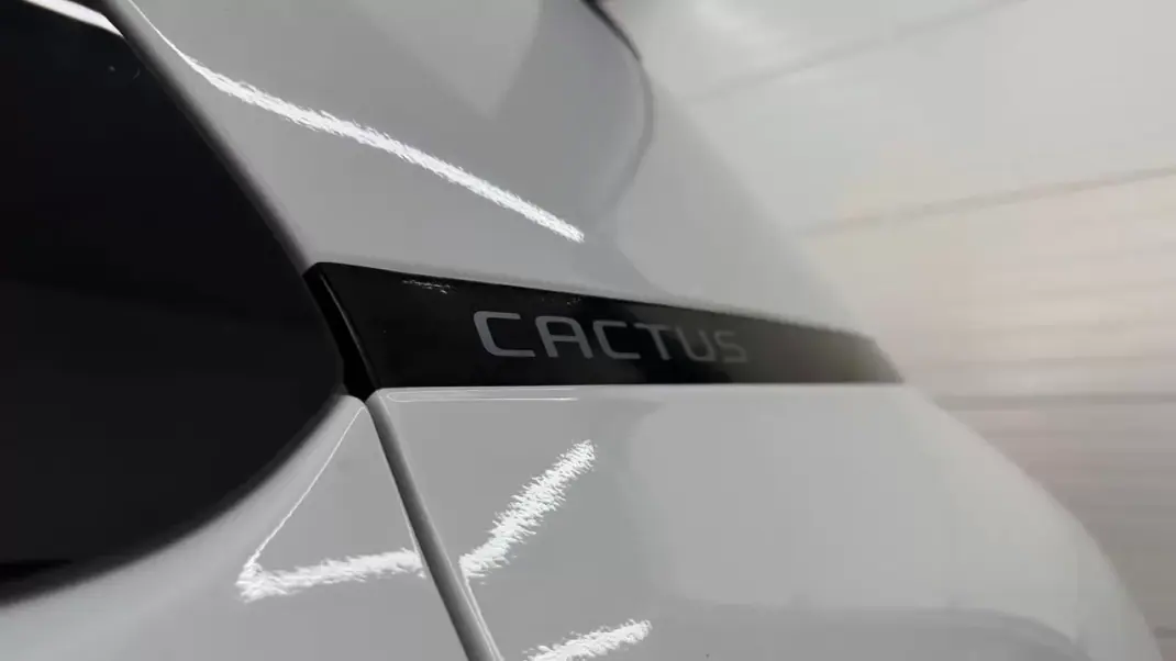 Citroën C4 Cactus 2020 - 10990 EUR, 176794 km - AUTO.MOTO.pt - 176794km - foto 14 de 27