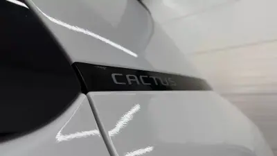 Citroën C4 Cactus 2020 - 10990 EUR, 176794 km - AUTO.MOTO.pt - 176794km - foto 14 de 27