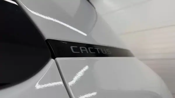 Citroën C4 Cactus 2020 - 9990 EUR, 176794 km - AUTO.MOTO.pt - 176794km - foto 14 de 27