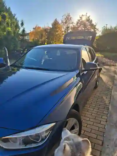 BMW 320 2016 - 13000 EUR, 245000 km - 245000km - foto 1 de 8