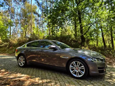 Jaguar XE 2015 - 14250 EUR, 184000 km - AUTO.MOTO.pt - 184000km - foto 23 de 23