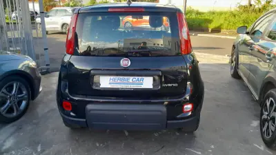Fiat Panda 2024 - 14250 EUR, 34186 km - AUTO.MOTO.pt - 34186km - foto 3 de 9