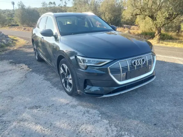 Audi e-tron 2020