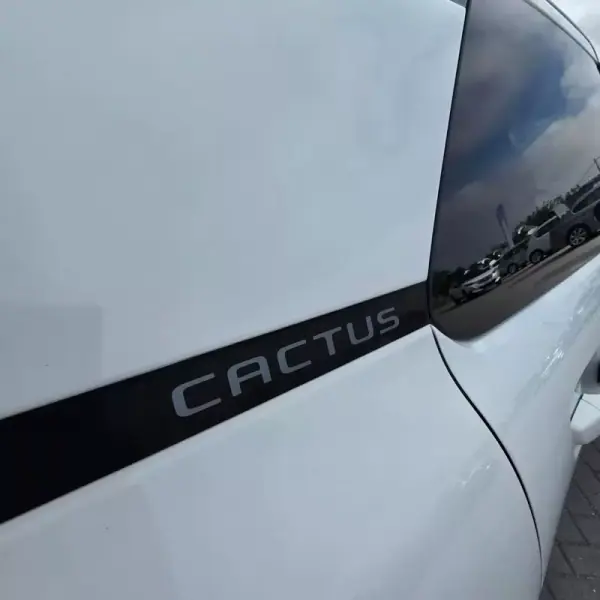 Citroën C4 Cactus 2019 - 10750 EUR, 87750 km - AUTO.MOTO.pt - 87750km - foto 6 de 18