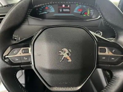 Peugeot e-208 2020 - 16800 EUR, 25181 km - 25181km - foto 19 de 24