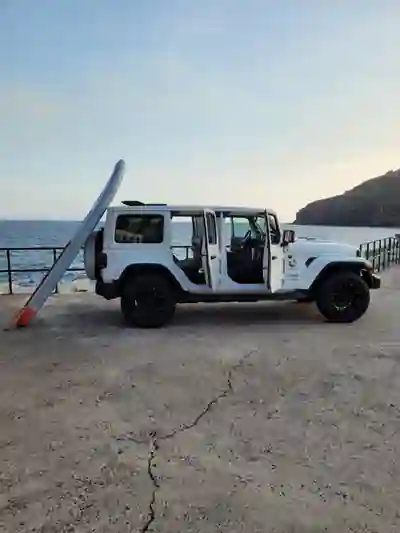Jeep WRANGLER UNLIMITED SAHARA 4X4 2019 - 93000km