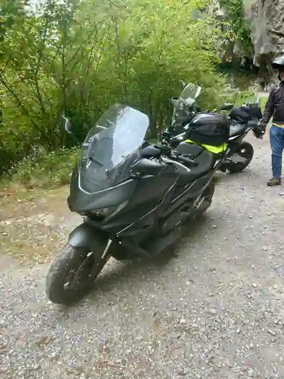Honda Forza 2026 — photo 6 of 6