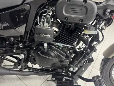 2025 - 2790 EUR, 0 km - AUTO.MOTO.pt - foto 8 de 21