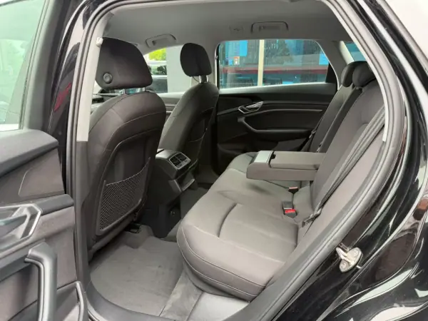 Audi e-tron 2020 - 30500 EUR, 90120 km - AUTO.MOTO.pt - 90120km - foto 10 de 15