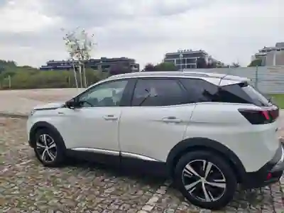 Peugeot 3008 2019 - 17900 EUR, 108000 km - 108000km - foto 2 de 12
