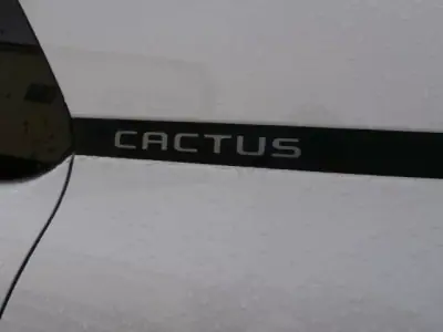 Citroën C4 Cactus 2020 - 11600 EUR, 185708 km - AUTO.MOTO.pt - 185708km - foto 9 de 26