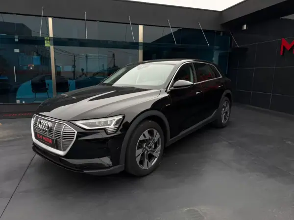 Audi e-tron 2020 - 30500 EUR, 90120 km - AUTO.MOTO.pt - 90120km - foto 2 de 15