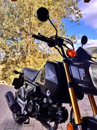 Honda Grom 2023 - 2900 EUR, 3826 km - 3826km - foto 2 de 5