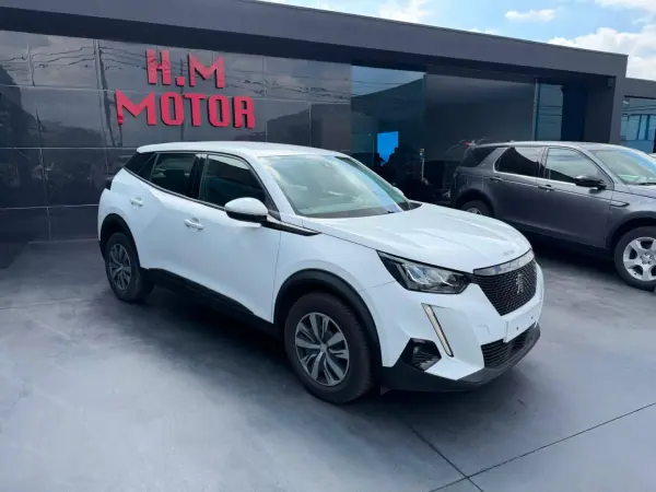 Peugeot 2008 2020 - 14900 EUR, 59000 km - AUTO.MOTO.pt - 59000km - foto 2 de 11