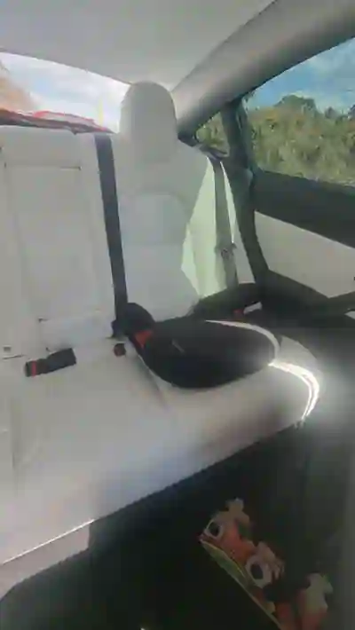 Tesla Model 3 2019 - 22600 EUR, 214980 km - 214980km - foto 6 de 14