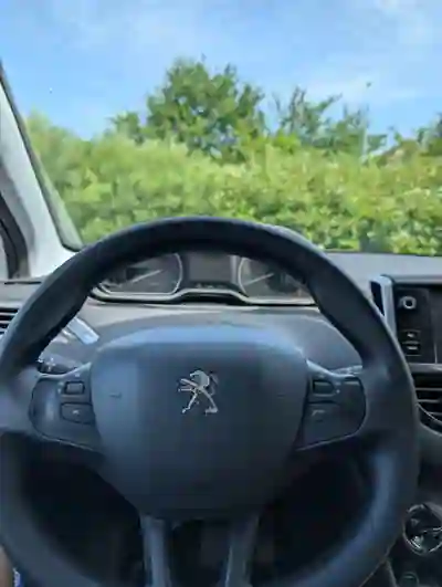 Peugeot 208 2020 - 10300 EUR, 120000 km - 120000km - foto 9 de 9