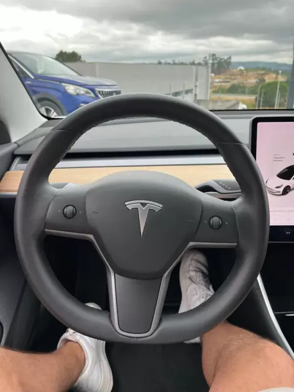 Tesla Model 3 2020 - 23000 EUR, 81000 km - AUTO.MOTO.pt - 81000km - foto 16 de 17