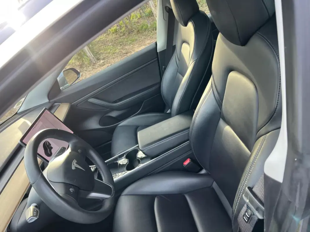 Tesla Model 3 2020 - 21900 EUR, 161211 km - AUTO.MOTO.pt - 161211km - foto 23 de 29