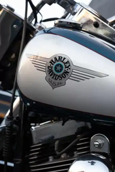 Harley-Davidson Softail® Fat Boy® 2004 - 13500 EUR, 77000 km - AUTO.MOTO.pt - 77000km - foto 4 de 14
