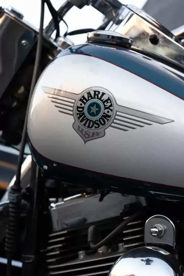 Harley-Davidson Softail® Fat Boy® 2004 - 13500 EUR, 77000 km - AUTO.MOTO.pt - 77000km - foto 4 de 14