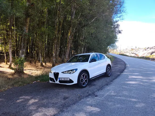 Alfa Romeo Stelvio 2.0 T Veloce Q4 AT8 2023 Gasolina