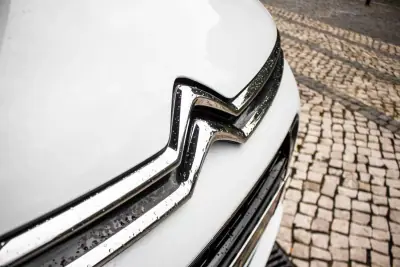 Citroën C4 Spacetourer 2019 - 10550 EUR, 304577 km - AUTO.MOTO.pt - 304577km - foto 9 de 45