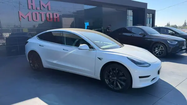 Tesla Model 3 Standard Range Plus RWD 2020 Elétrico